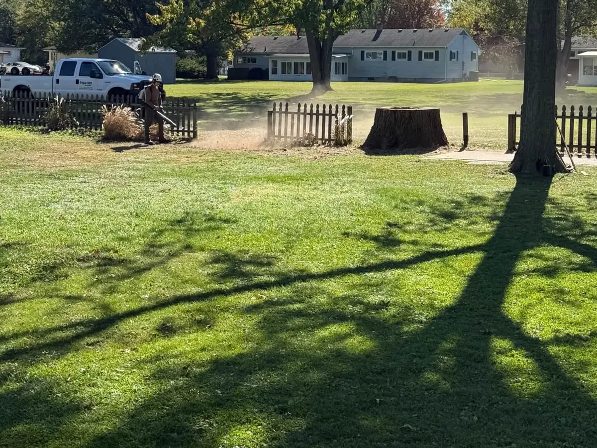 A Triple DDD crew member finishing up next to a big stump in a fenced yard
